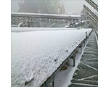 Морозостойкие